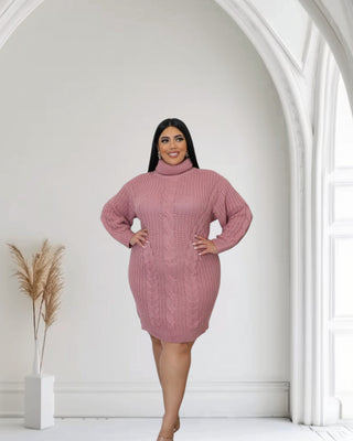 Stylish Plus Size Pink Turtleneck Sweater Dress