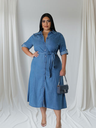 Womens Denim Plus Size Dress