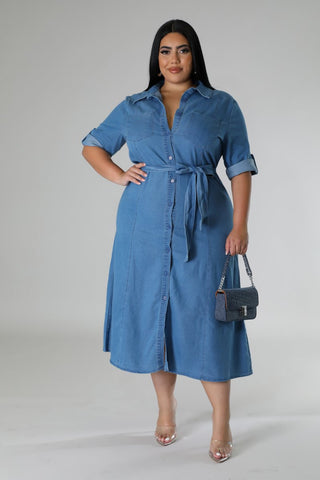 Denim Delight Plus Size Dress