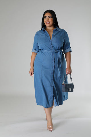 Denim Delight Plus Size Dress