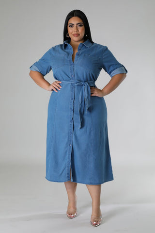 Denim Delight Plus Size Dress
