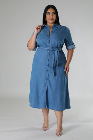 Denim Delight Plus Size Dress