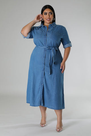 Denim Delight Plus Size Dress